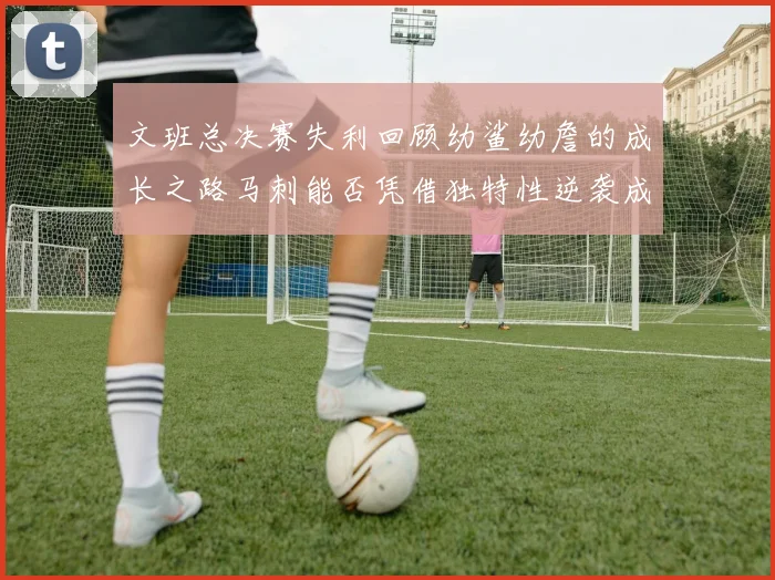 文班总决赛失利回顾幼鲨幼詹的成长之路马刺能否凭借独特性逆袭成功